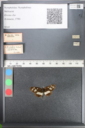 Media type: image;   Entomology 101045